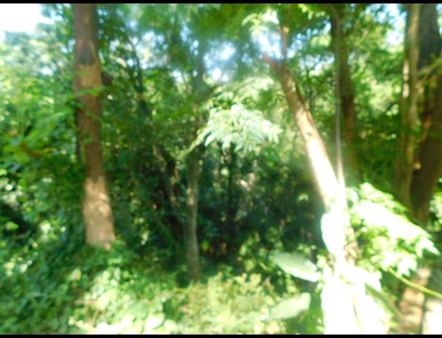 17,212HA VACANT LAND FOR SALE IN MALVERN